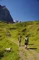 24h Hike Mammut_Ochsner 'Meiringen_Grosse Scheidegg 1962m' 18_08_2012 (139)